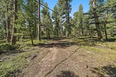 0 Evergreen Drive, Conifer, CO 80433 - Photo 5