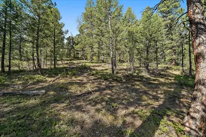 0 Evergreen Drive, Conifer, CO 80433 - Photo 17
