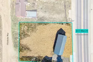 217 Hwy 9, Alma, CO 80420 - Photo 11