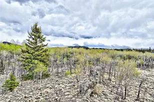 71 Mallard Rd, Como, CO 80432 - Photo 1