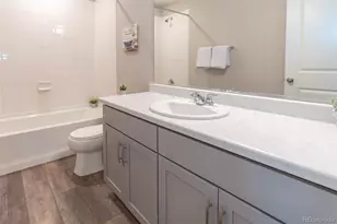 3074 Distant Rock Ave, Castle Rock, CO 80109 - Photo 21