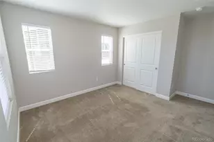 3074 Distant Rock Ave, Castle Rock, CO 80109 - Photo 19