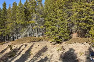 Lot 680 Alice Rd, Idaho Springs, CO 80453 - Photo 1