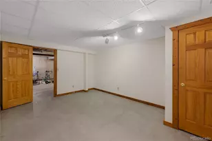 353 Wood Rose Way, Leadville, CO 80461 - Photo 45