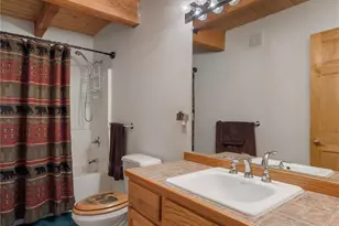 353 Wood Rose Way, Leadville, CO 80461 - Photo 19