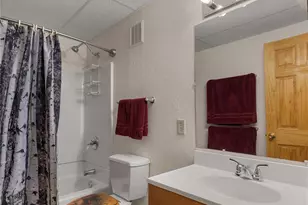 353 Wood Rose Way, Leadville, CO 80461 - Photo 41