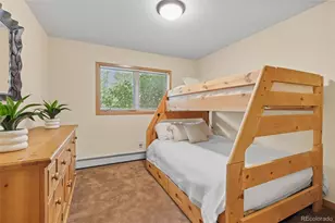 803 Lakepoint Ct, Frisco, CO 80443 - Photo 23