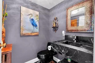 4500 Sentinel Rock, Larkspur, CO 80118 - Photo 19