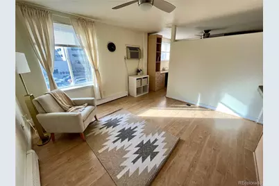 1833 N Williams Street #401, Denver, CO 80218 - Photo 9