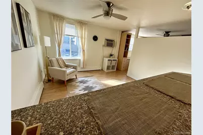 1833 N Williams Street #401, Denver, CO 80218 - Photo 11