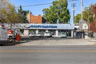 1057 N Emerson Street, Denver, CO 80218 - Photo 39