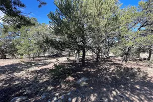 3545 Fallen Tree Pl, Crestone, CO 81131 - Photo 1