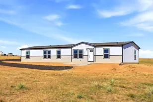 46855 Cottonwood Lane, Deer Trail, CO 80105 - Photo 3