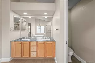 10202 Nickolas Ave, Highlands Ranch, CO 80130 - Photo 29