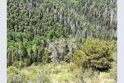 Lot 6076 Starkweather Road, San Luis, CO 81152 - Photo 7
