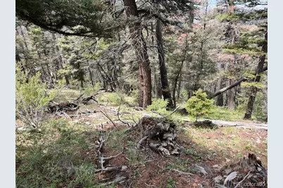 Lot 6076 Starkweather Road, San Luis, CO 81152 - Photo 29
