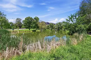 449 N Corona St, Denver, CO 80218 - Photo 29