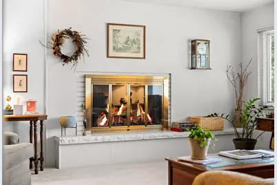 250 S Cherry Street, Denver, CO 80246 - Photo 7