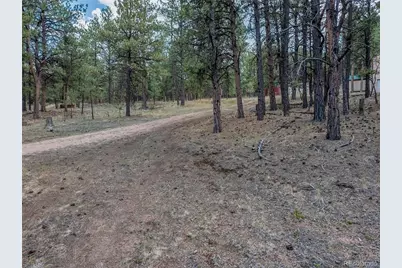 41 & 73 Ingels Drive, Florissant, CO 80816 - Photo 9