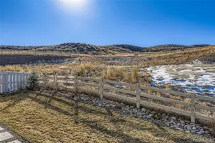 11666 Poetry Pl, Lone Tree, CO 80134 - Photo 25