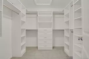 3058 Distant Rock Ave, Castle Rock, CO 80109 - Photo 29