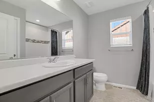 3058 Distant Rock Ave, Castle Rock, CO 80109 - Photo 33