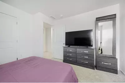 761 N Amory Street, Watkins, CO 80137 - Photo 21
