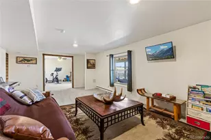 42812 Ricki Dr, Parker, CO 80138 - Photo 19