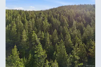 2238 Stanley Road, Idaho Springs, CO 80452 - Photo 13