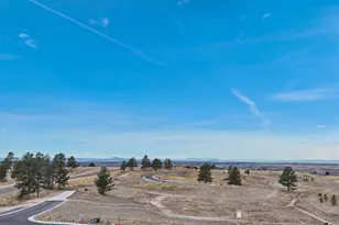 8099 Painted Pne St, Parker, CO 80134 - Photo 9