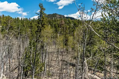 360 Musket Lane, Como, CO 80432 - Photo 43