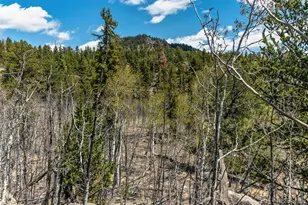 360 Musket Ln, Como, CO 80432 - Photo 43