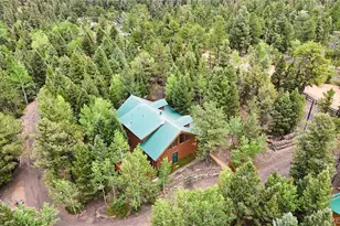 5527 County Road 5 Rd, Divide, CO 80814 - Photo 7