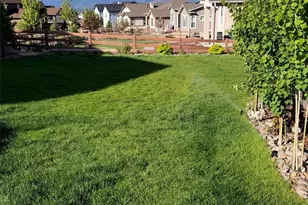 1955 Ruffino Dr, Colorado Springs, CO 80921 - Photo 41