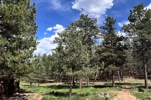 434 Blue Mountain Dr, Florissant, CO 80816 - Photo 41