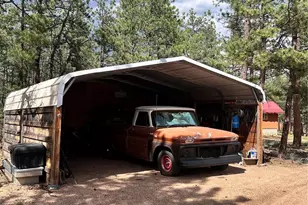 434 Blue Mountain Dr, Florissant, CO 80816 - Photo 3