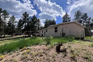 434 Blue Mountain Dr, Florissant, CO 80816 - Photo 39