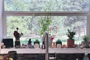 434 Blue Mountain Dr, Florissant, CO 80816 - Photo 17