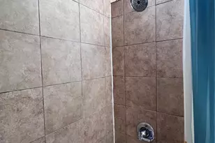 434 Blue Mountain Dr, Florissant, CO 80816 - Photo 27