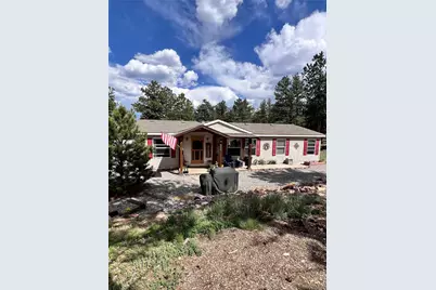 434 Blue Mountain Drive, Florissant, CO 80816 - Photo 1