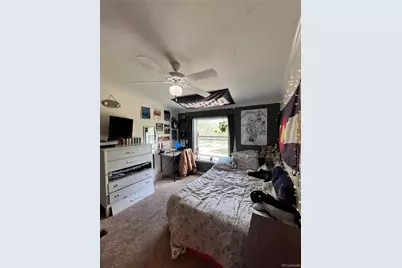 434 Blue Mountain Drive, Florissant, CO 80816 - Photo 29