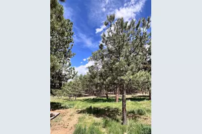 434 Blue Mountain Drive, Florissant, CO 80816 - Photo 33