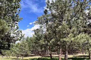 434 Blue Mountain Dr, Florissant, CO 80816 - Photo 33