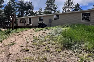 434 Blue Mountain Dr, Florissant, CO 80816 - Photo 35