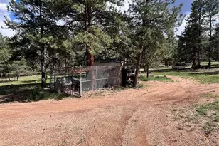 434 Blue Mountain Dr, Florissant, CO 80816 - Photo 37