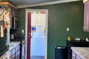 434 Blue Mountain Dr, Florissant, CO 80816 - Photo 13