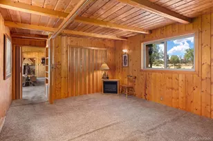 30320 Co Rd 371, Buena Vista, CO 81211 - Photo 29