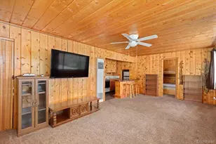 30320 Co Rd 371, Buena Vista, CO 81211 - Photo 43