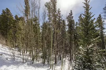 757 Texas Drive, Idaho Springs, CO 80452 - Photo 3