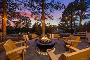 8668 Windhaven Dr, Parker, CO 80134 - Photo 3